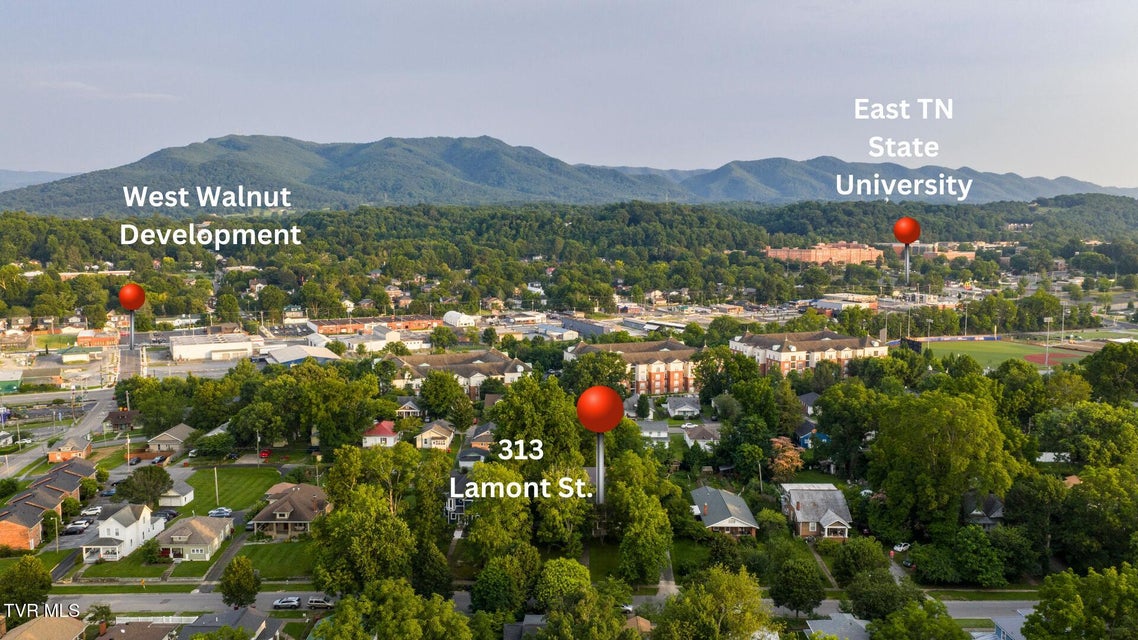 Photo #2: 313 Lamont Street