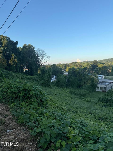 Photo #2: Lot 16 Birdwell 