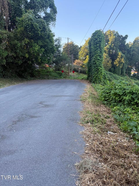 Photo #3: Lot 16 Birdwell 