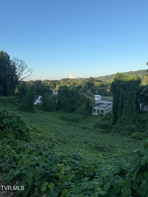 Photo #4: Lot 16 Birdwell 