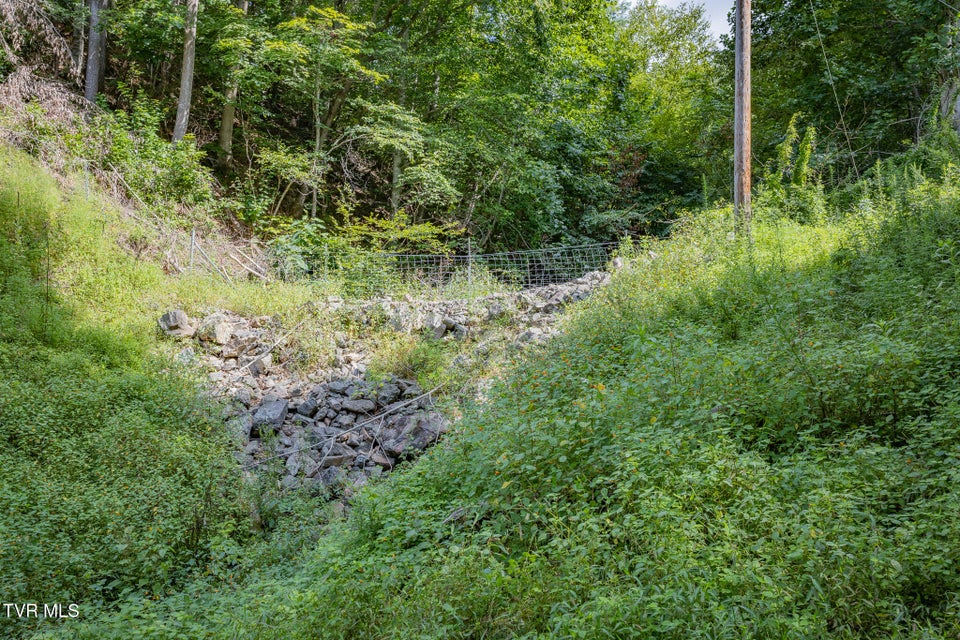 Photo #22: 240 Little Branch Road