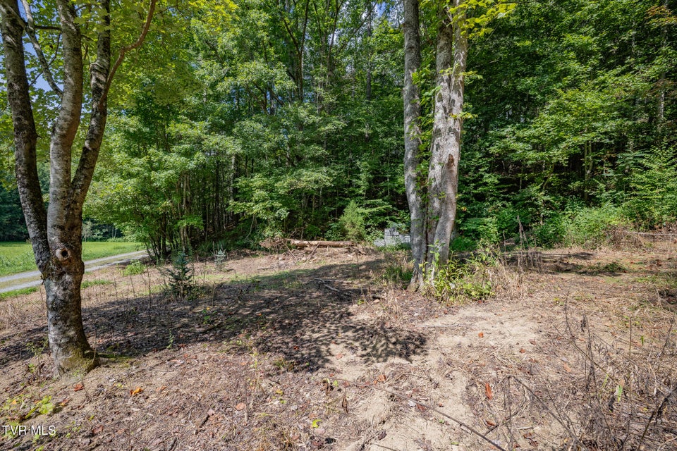 Photo #24: 240 Little Branch Road