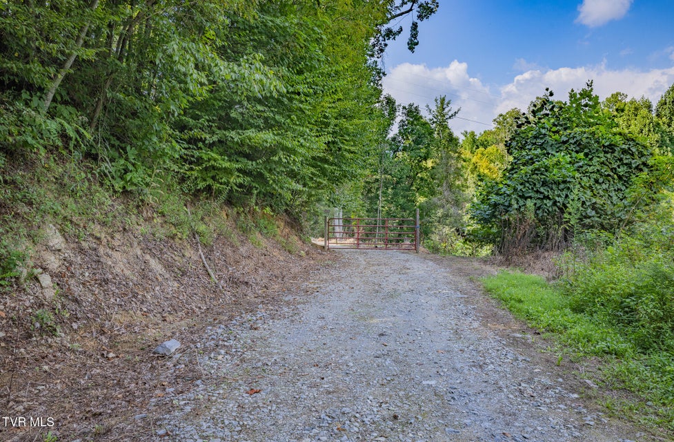 Photo #23: 240 Little Branch Road