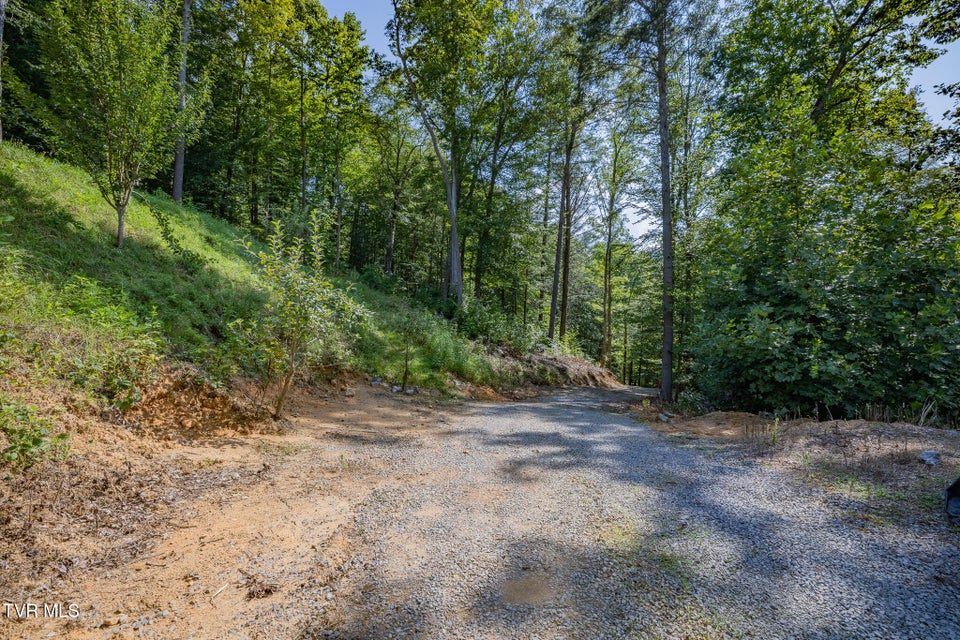Photo #11: 240 Little Branch Road