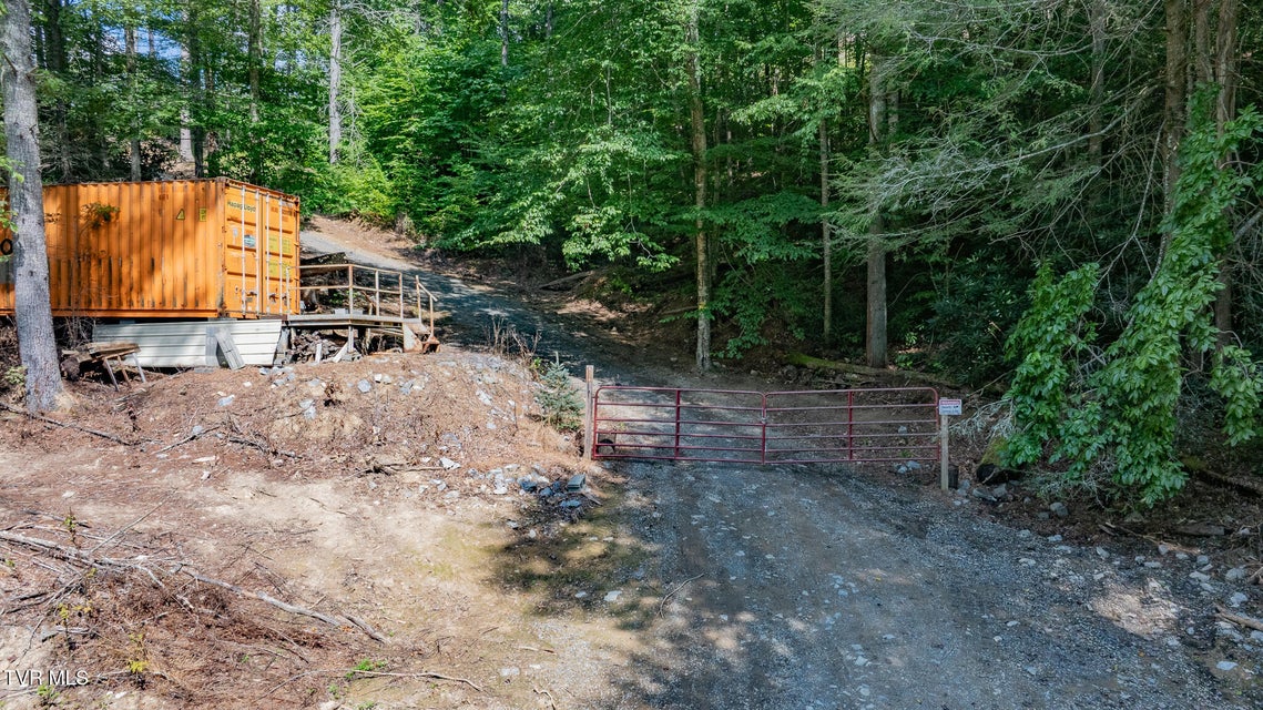 Photo #14: 240 Little Branch Road