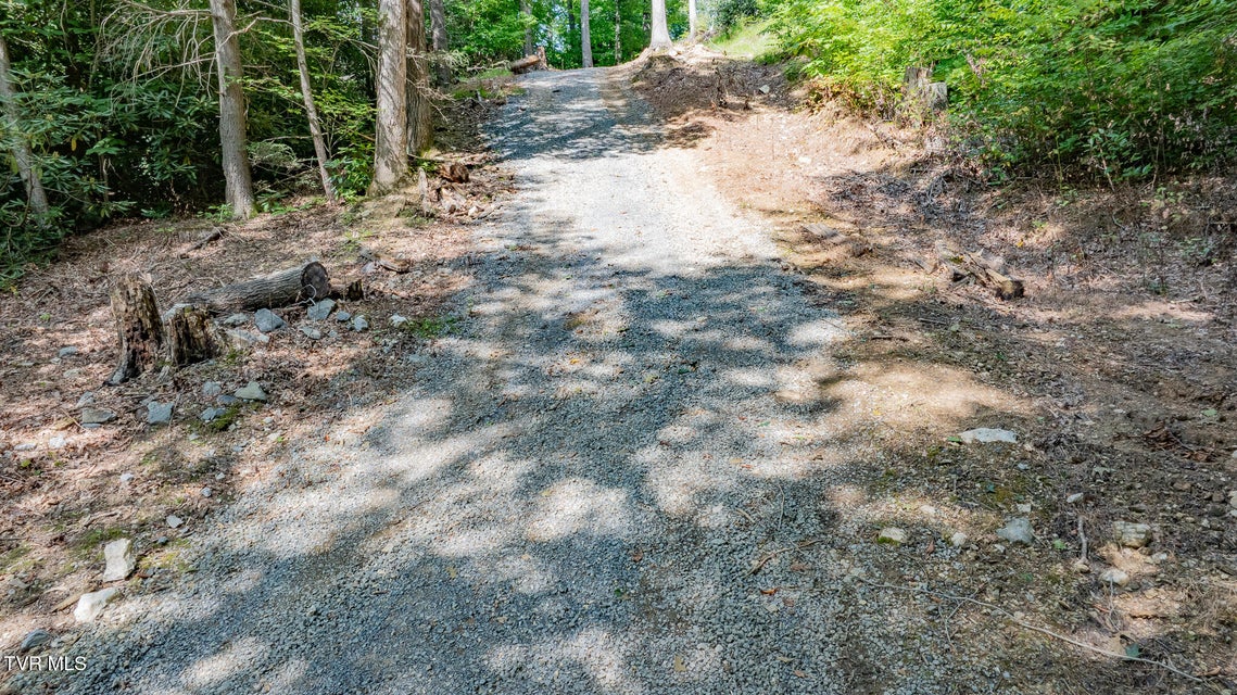 Photo #16: 240 Little Branch Road