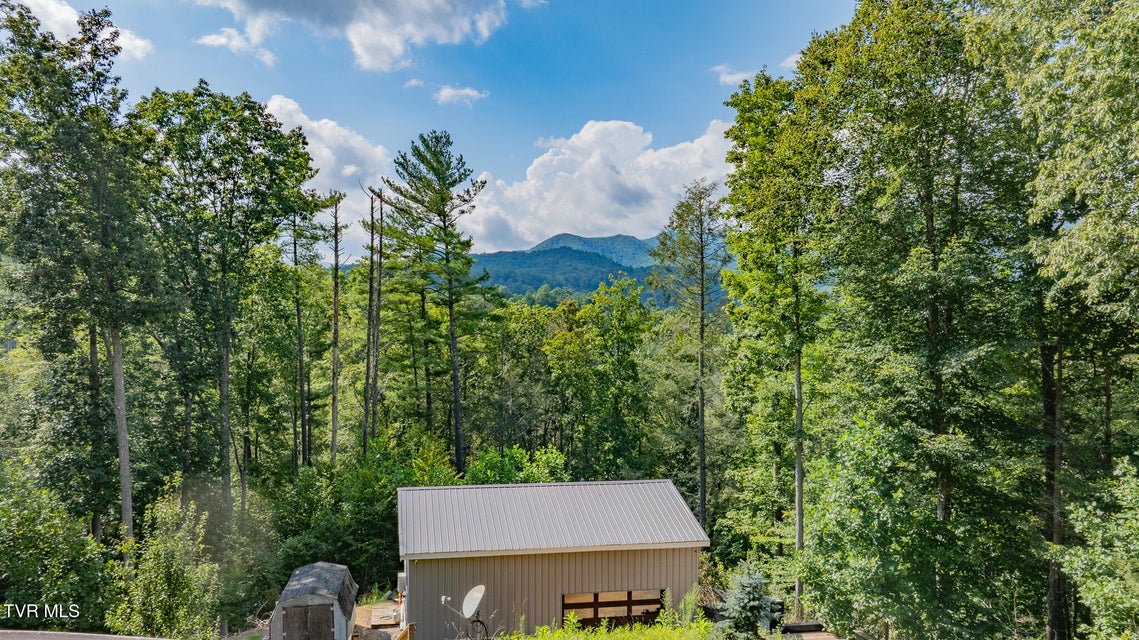 Photo #3: 240 Little Branch Road