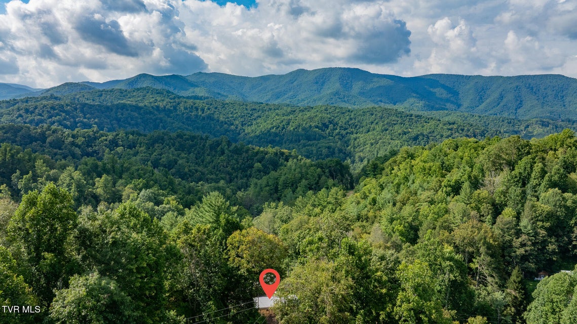 Photo #2: 240 Little Branch Road