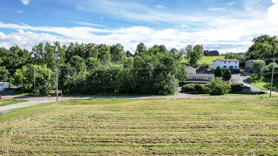 Photo #8: Lot 3 Erwin Highway