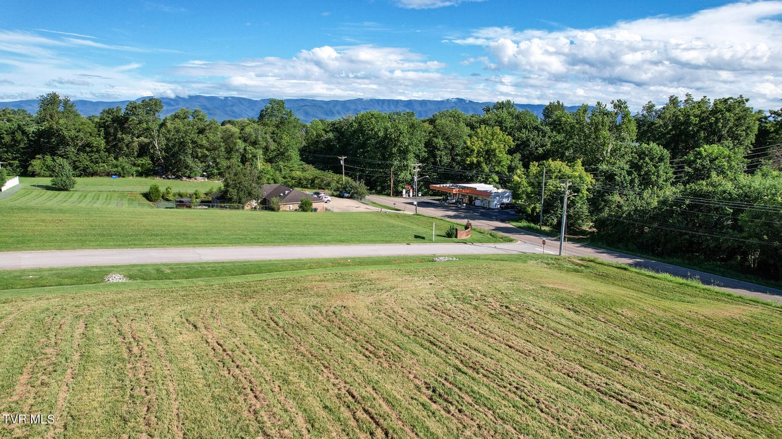 Photo #18: Lot 3 Erwin Highway