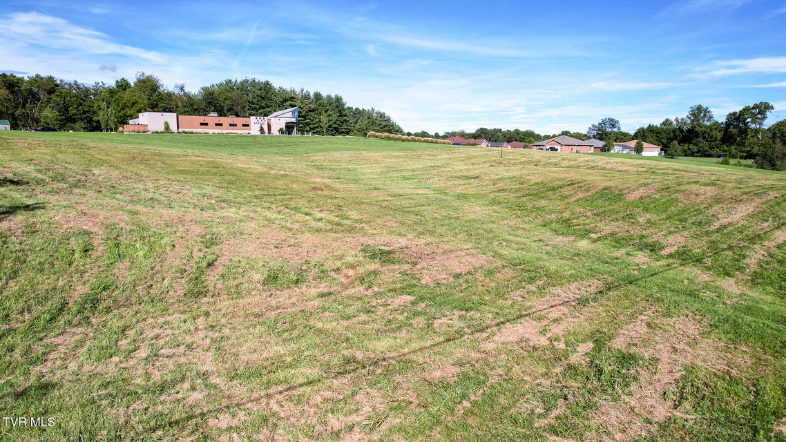 Photo #11: Lot 2 Erwin Highway