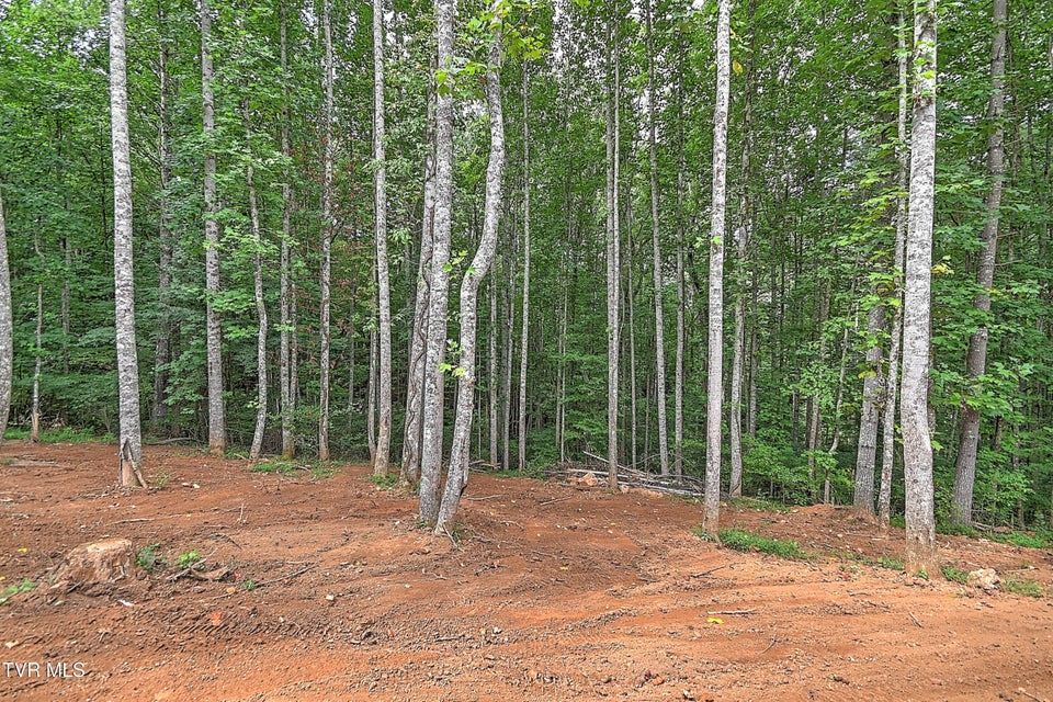 Photo #36: 512 Norris Rd ( Bridle Path) Road