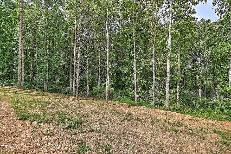 Photo #40: 477 Norris Rd ( Bridle Path) Road