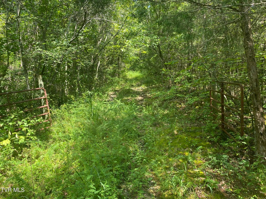 Photo #11: 0 Sinks (103 Acres) Road