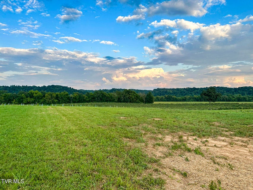 Photo #5: 1515 River Path Path