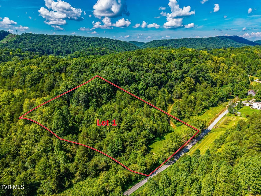 Photo #8: Lot 1 Bear Paw Ln 