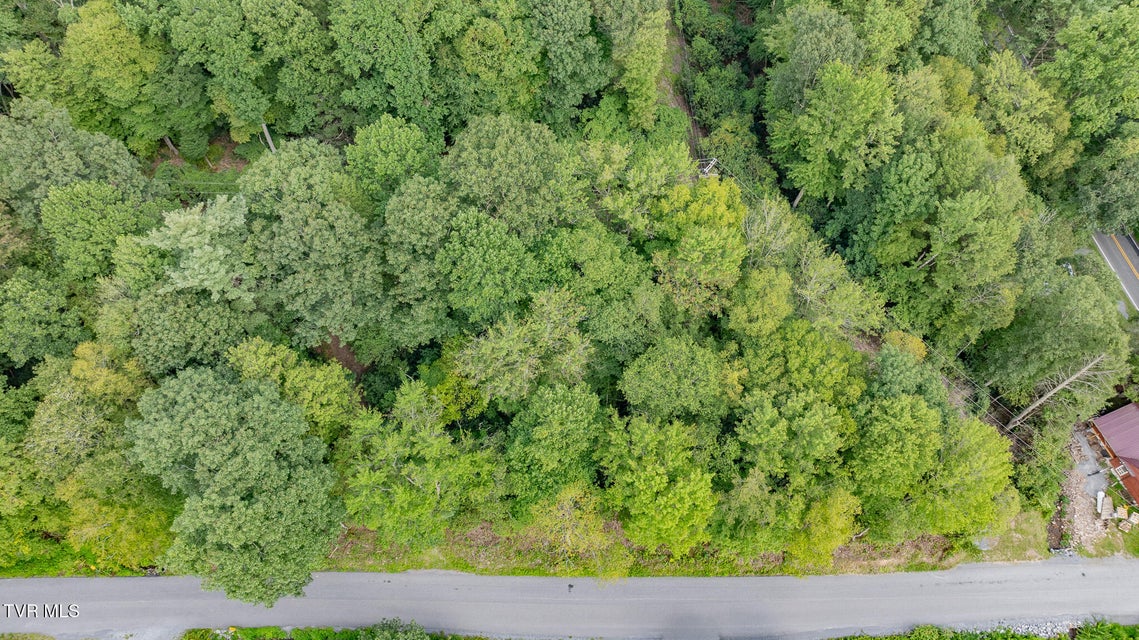 Photo #5: Tbd Azen Road