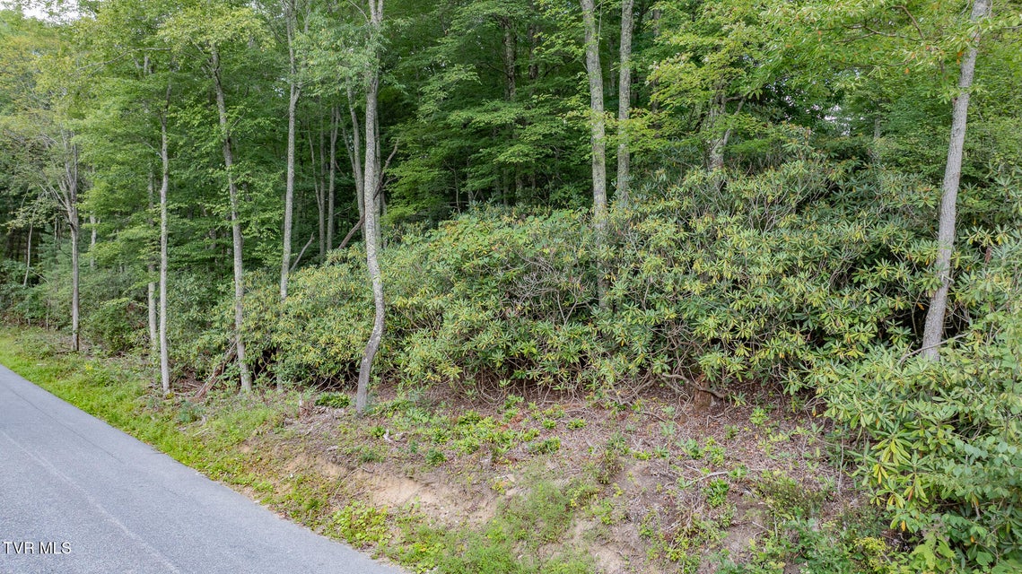 Photo #6: Tbd Azen Road