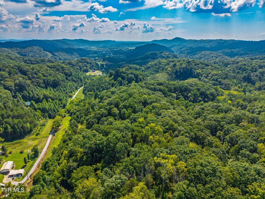 Photo #11: Lot 2 Bear Paw Ln 