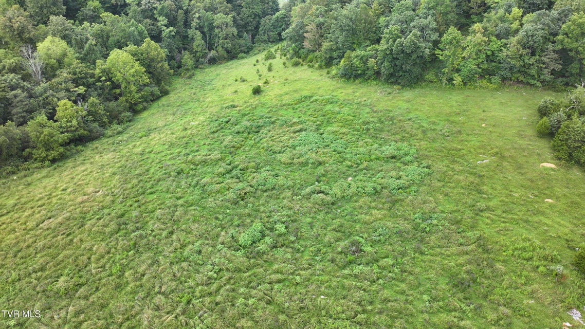 Photo #13: 680 Oakwood Road
