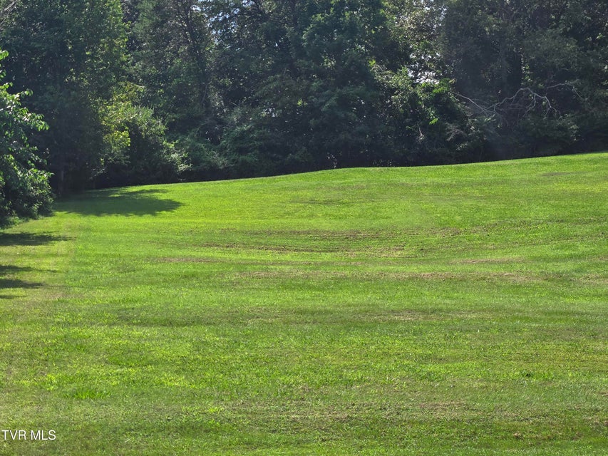 Photo #7: Lot 3 Tipton Avenue 