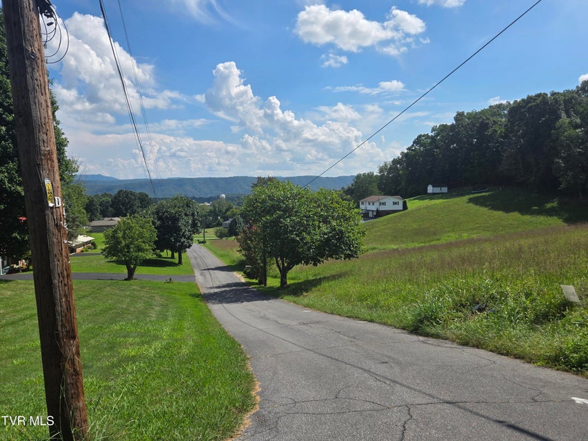 Photo #12: Lot 3 Tipton Avenue 