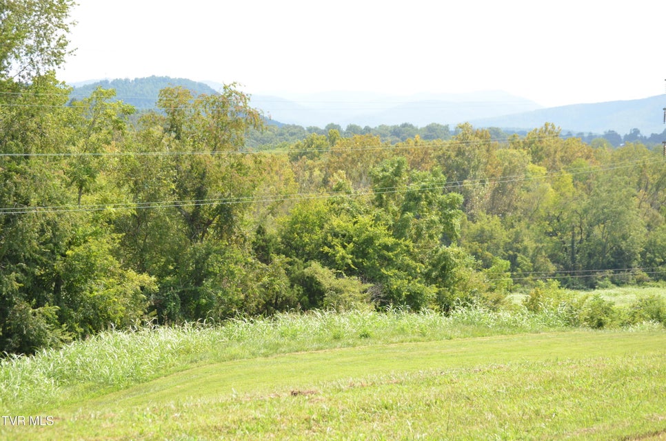 Photo #7: Lot 15 Golf Villa Drive