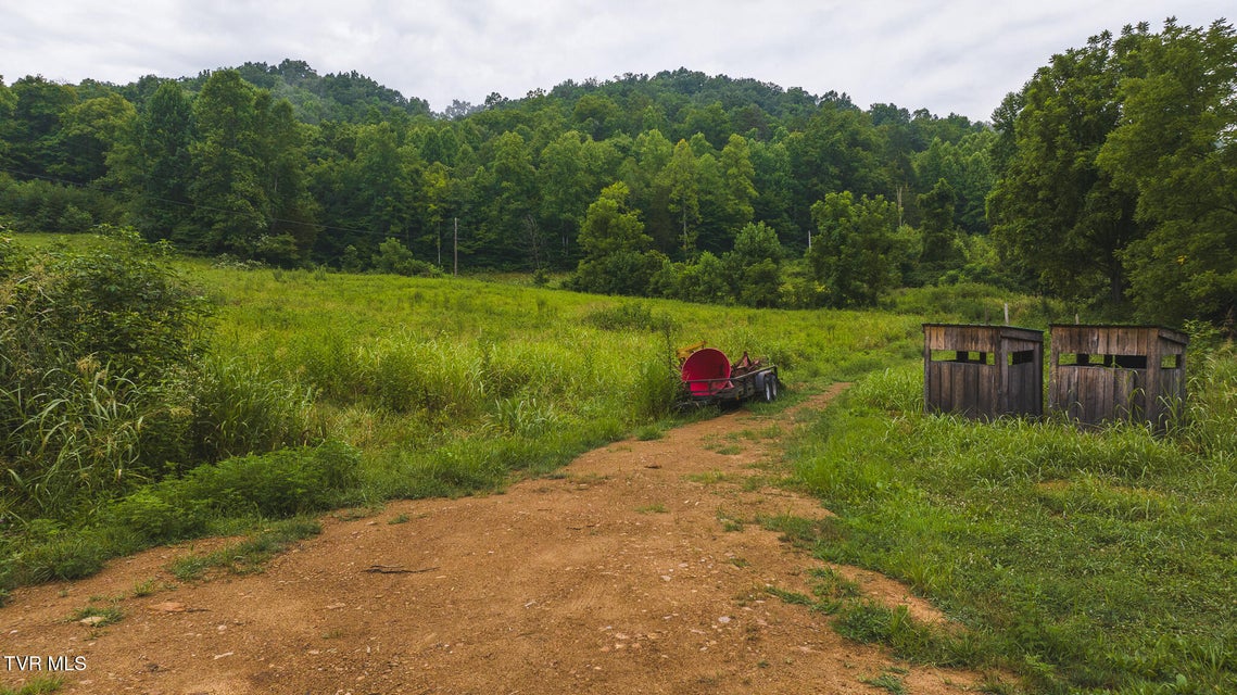 Photo #4: 1446 Brooks Road