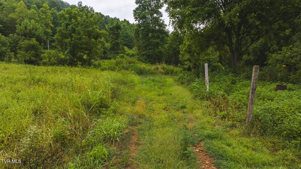 Photo #10: 1446 Brooks Road