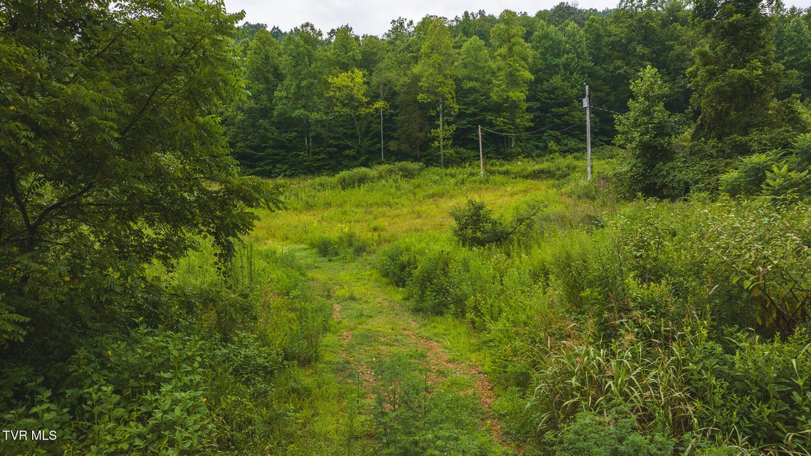 Photo #11: 1446 Brooks Road