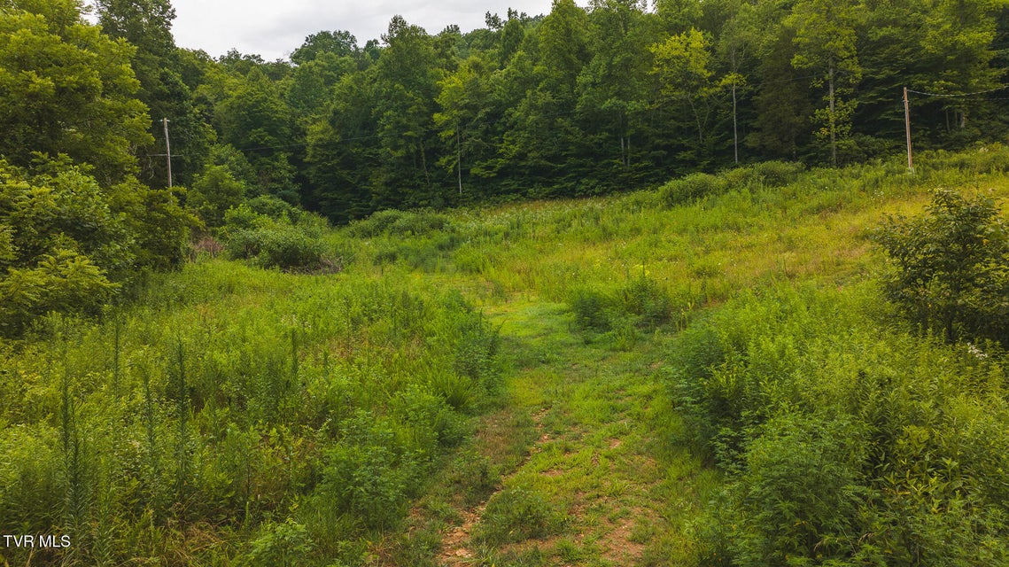 Photo #12: 1446 Brooks Road