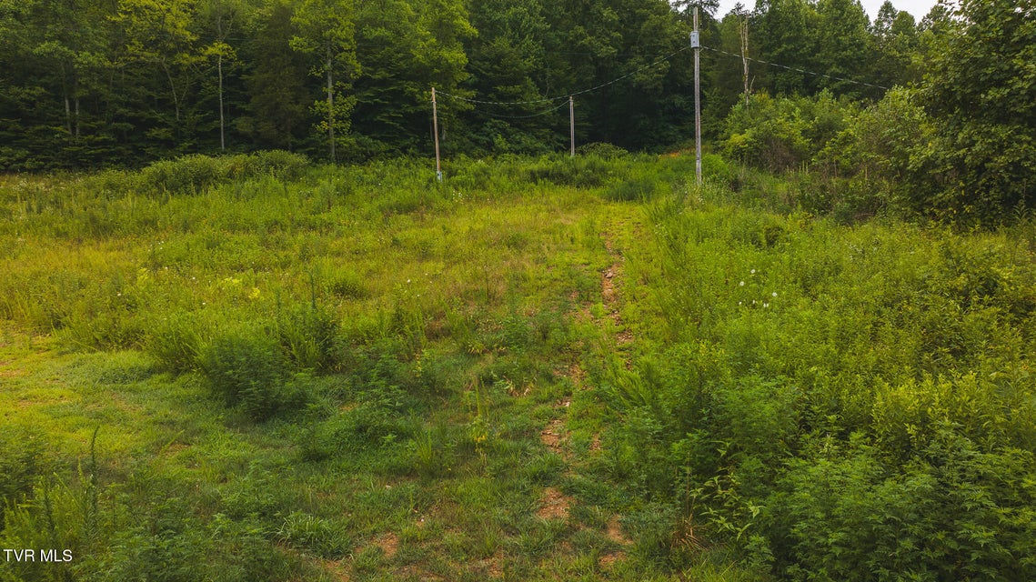 Photo #13: 1446 Brooks Road