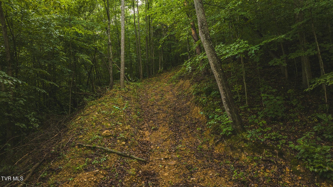 Photo #14: 1446 Brooks Road