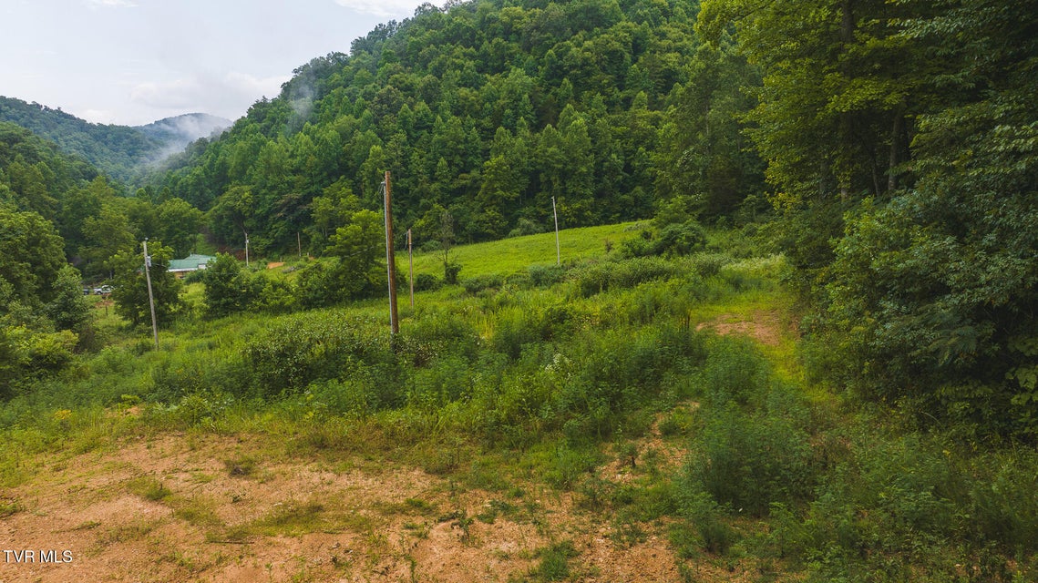 Photo #16: 1446 Brooks Road