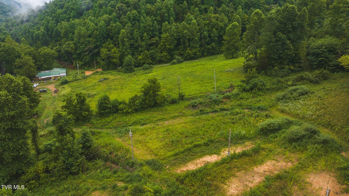 Photo #17: 1446 Brooks Road
