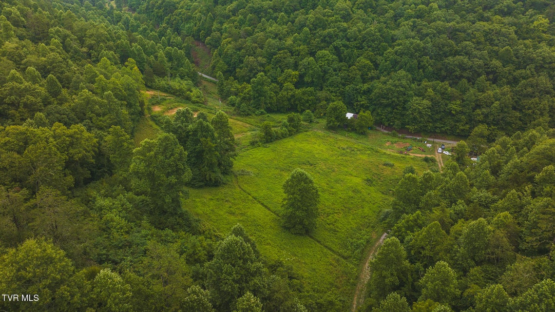 Photo #19: 1446 Brooks Road