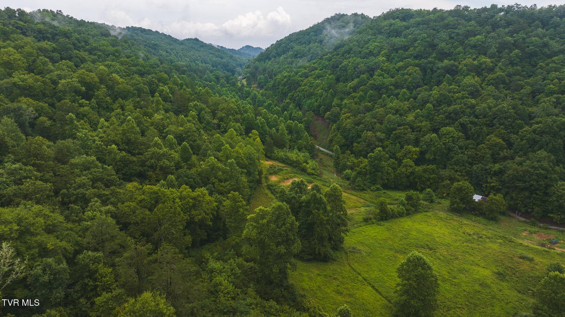 Photo #20: 1446 Brooks Road