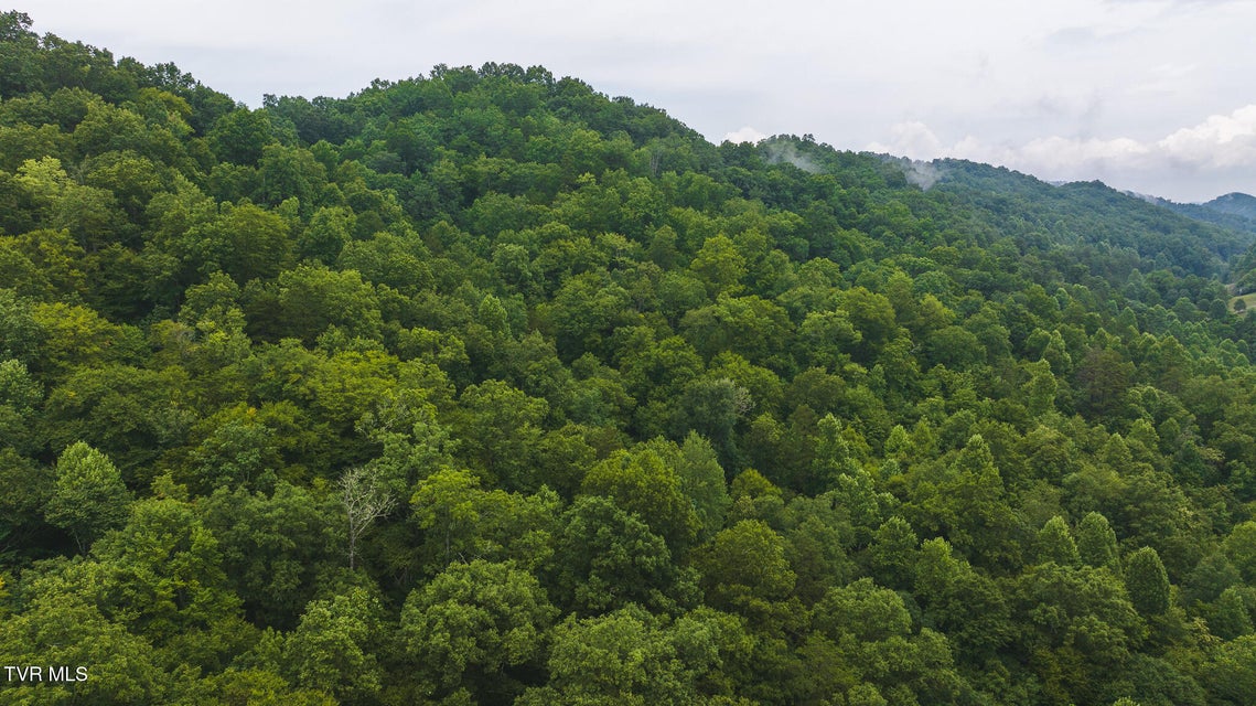 Photo #22: 1446 Brooks Road