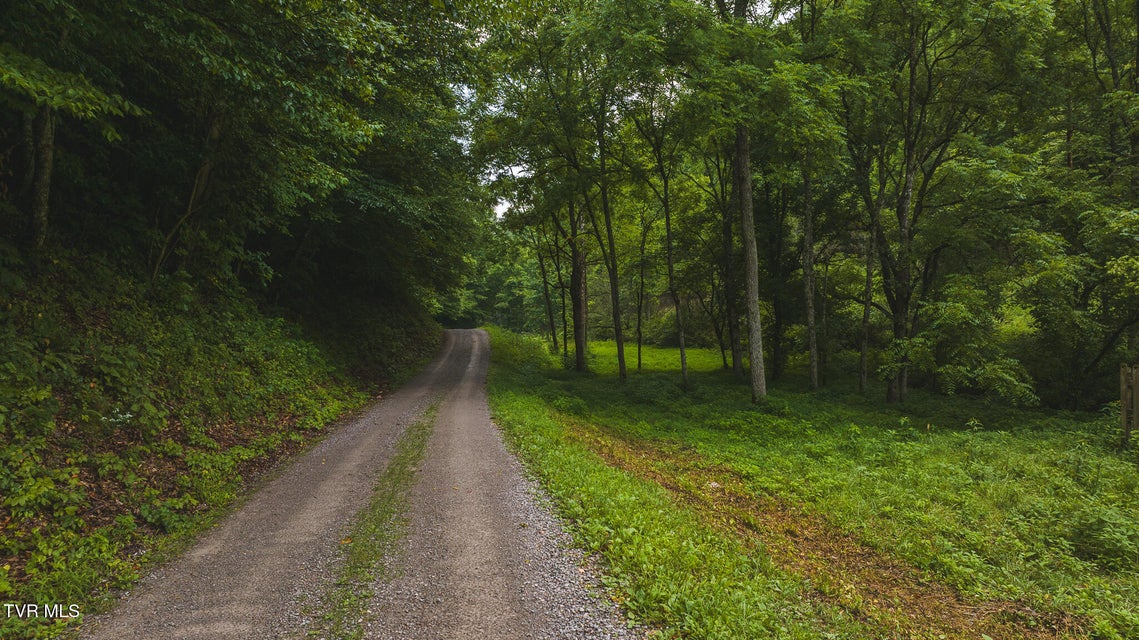 Photo #29: 1446 Brooks Road