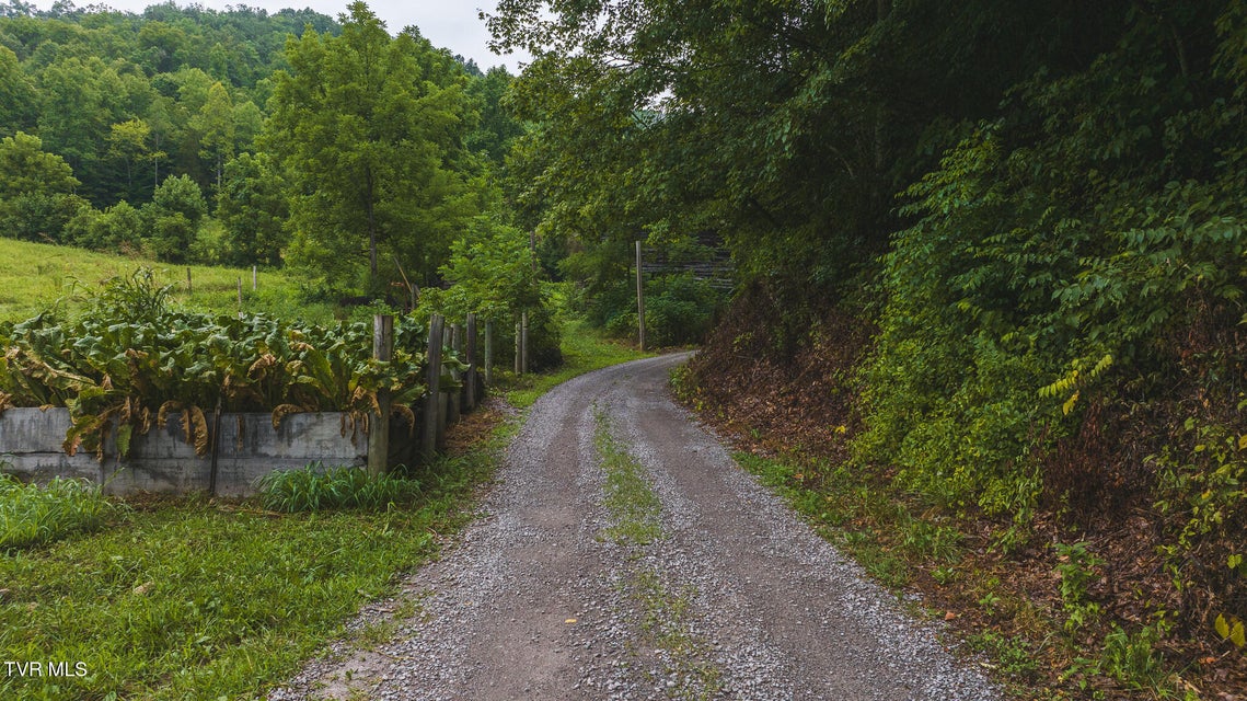 Photo #30: 1446 Brooks Road