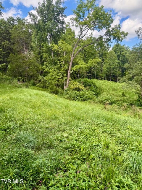 Photo #3: 116 Jc Vines Road