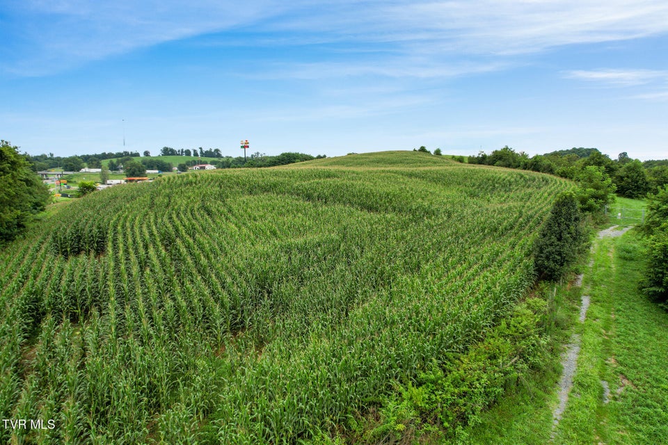 Photo #6: 0 Glenbrook Ave 