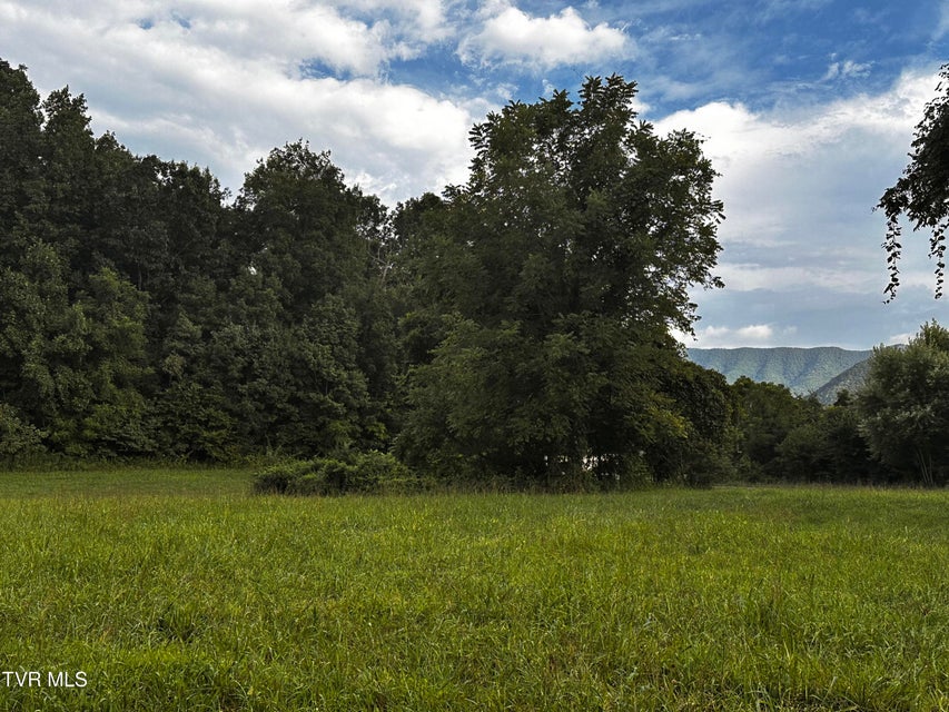 Photo #2: 2725 Greystone Road