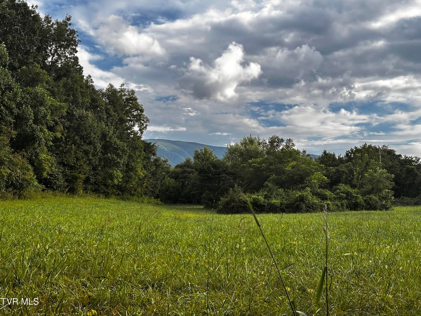 Photo #5: 2725 Greystone Road