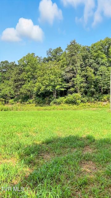 Photo #6: 1433 Anglers Way Road