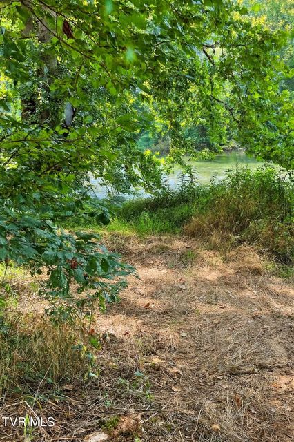 Photo #7: 1433 Anglers Way Road