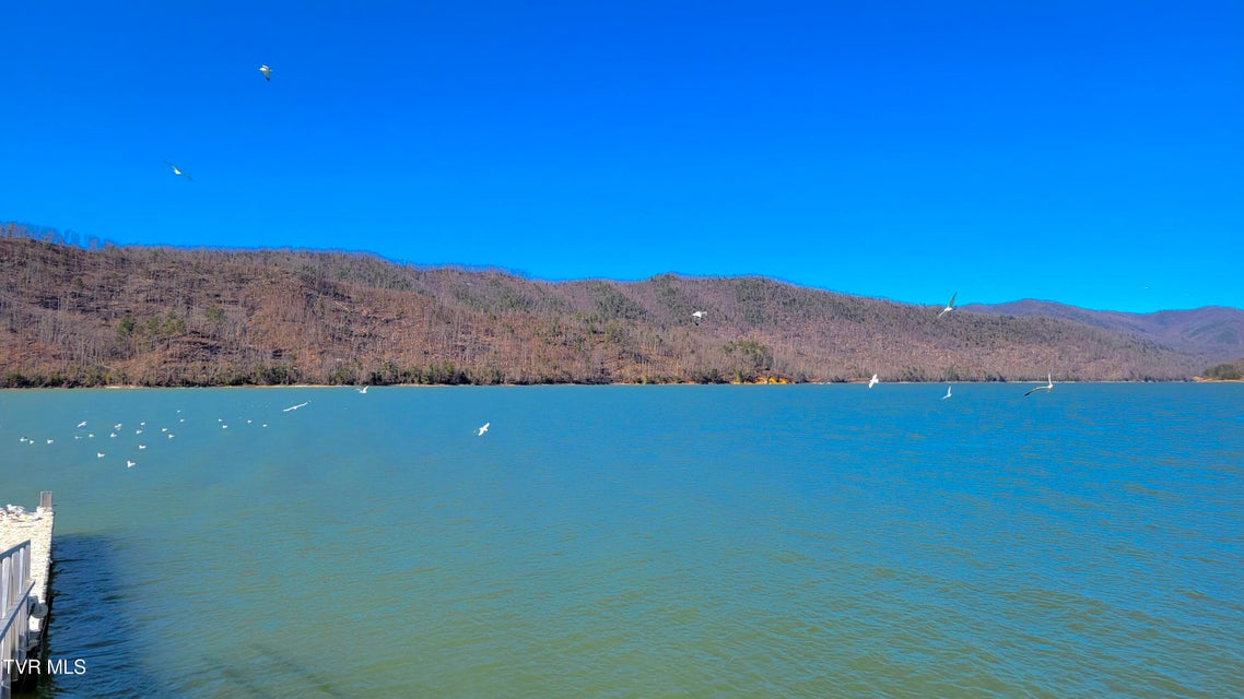 Photo #5: Lot 87 Harbour View Road