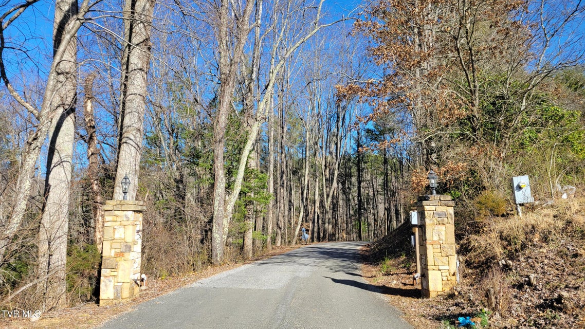 Photo #2: Lot 87 Harbour View Road