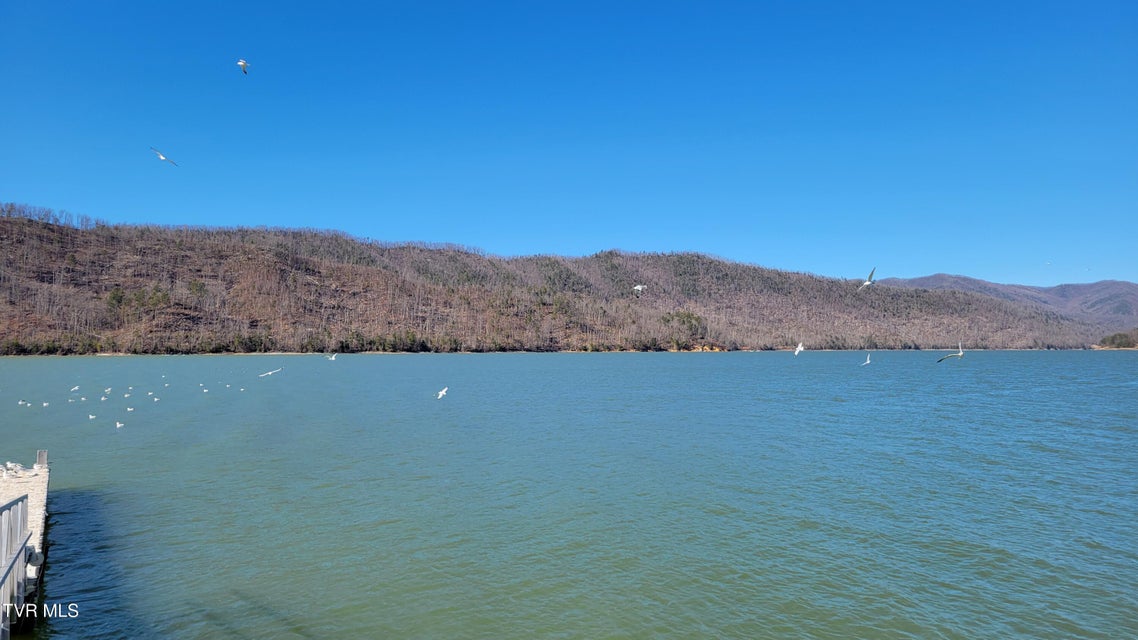 Photo #23: Lot 87 Harbour View Road