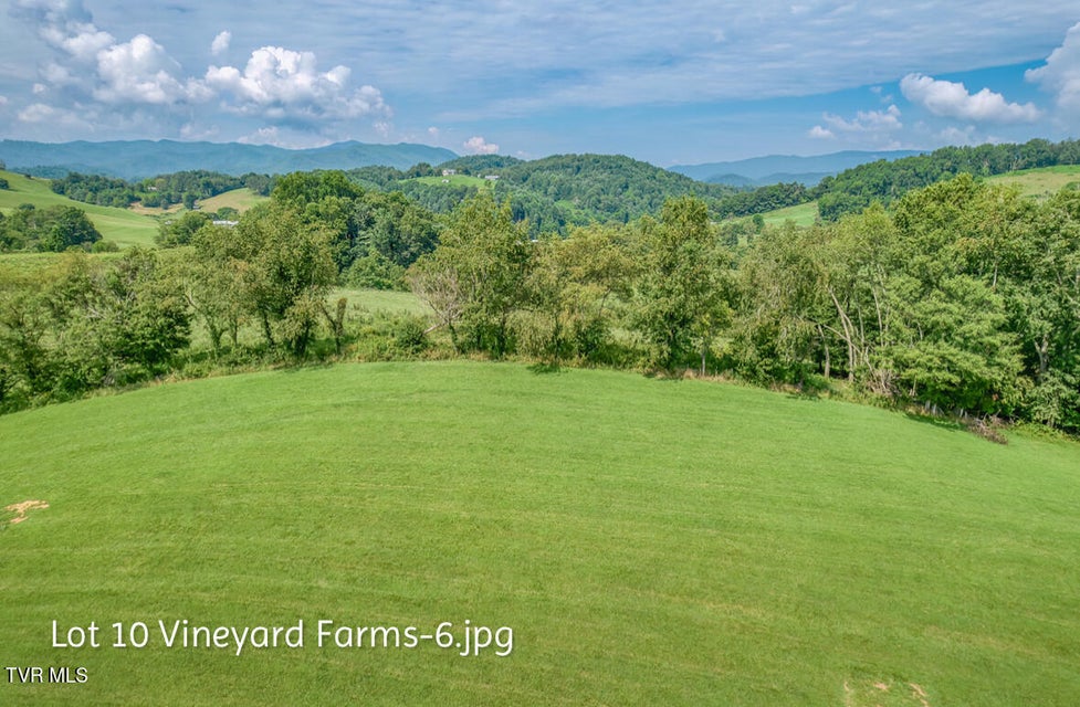 Photo #6: Lot 10 Dry Hill Road